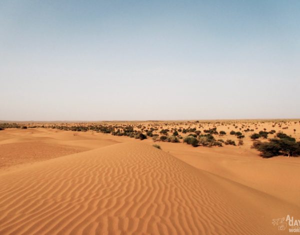 Le désert de Khuri, à la frontière du Pakistan