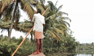 Kochi, au coeur de la nature dans le Kerala