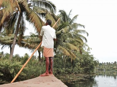 Kochi, au coeur de la nature dans le Kerala