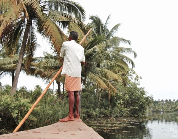 Kochi, au coeur de la nature dans le Kerala