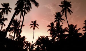 Varkala, un air de vacances