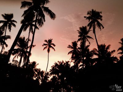 Varkala, un air de vacances