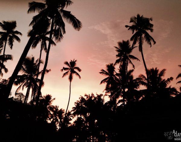 Varkala, un air de vacances