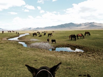 Vidéo du voyage en Mongolie 2012