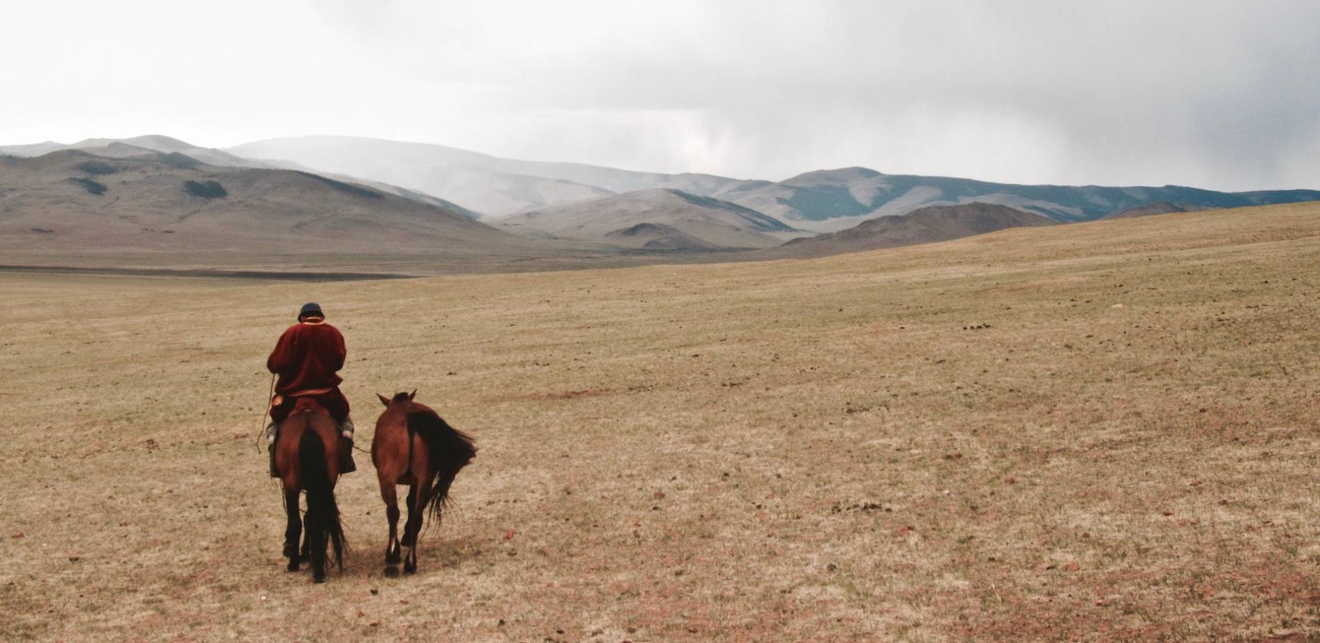 cheval mongolie