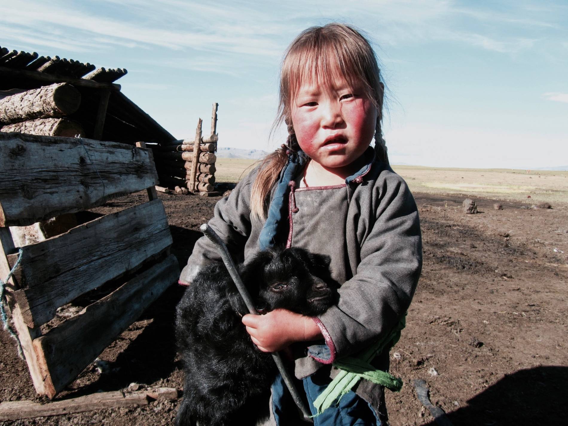 chevre mongolie