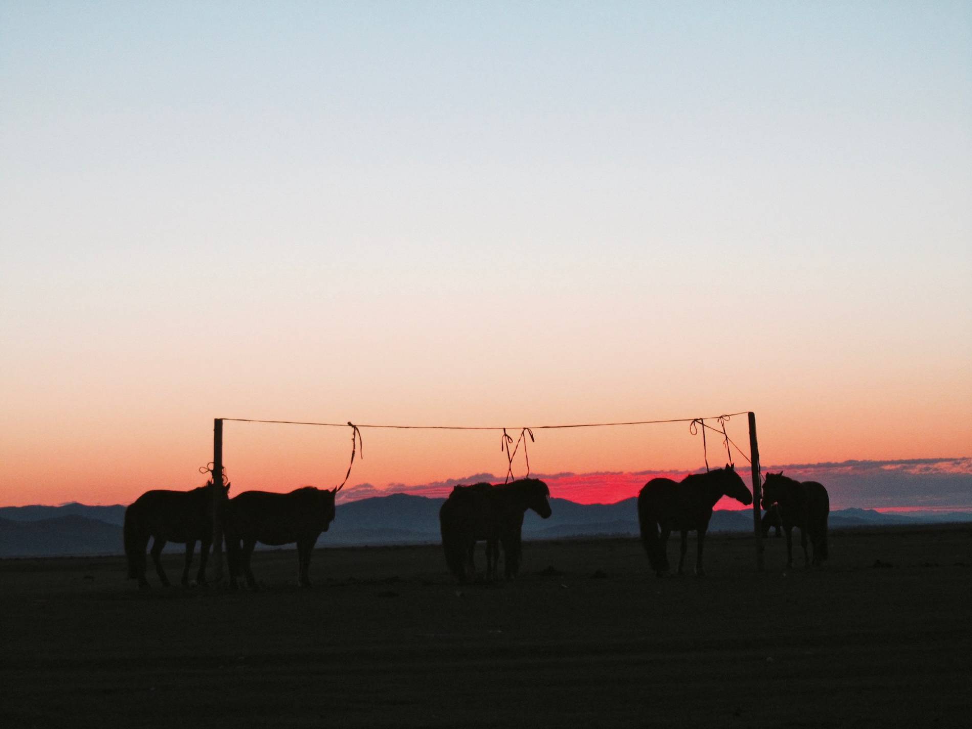 lever du soleil mongolie