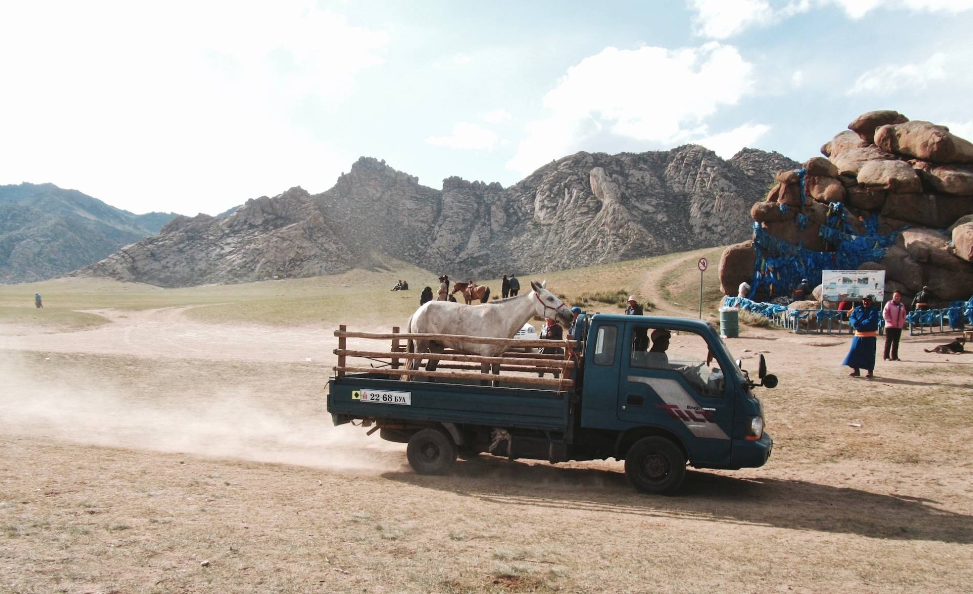 naadam cheval