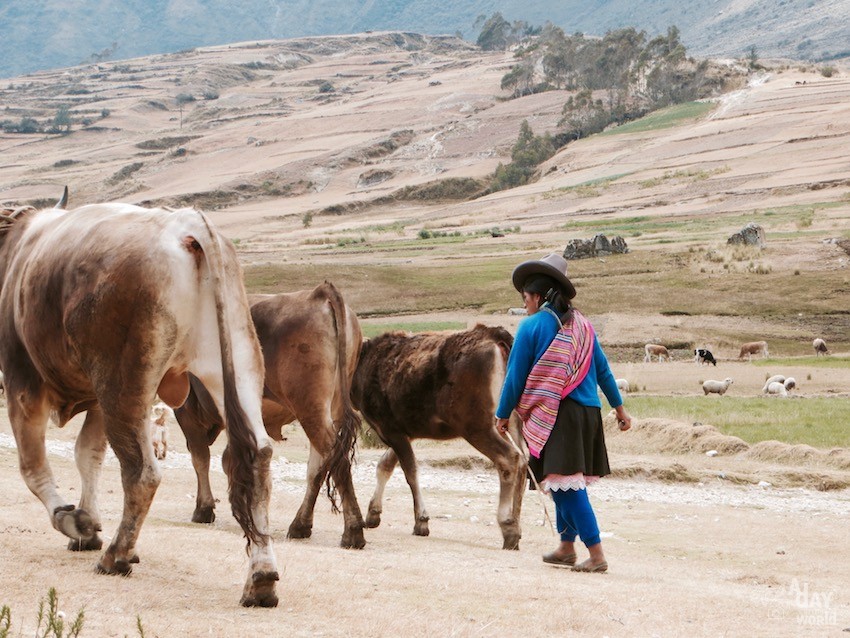 Huascaran Pérou blog voyage