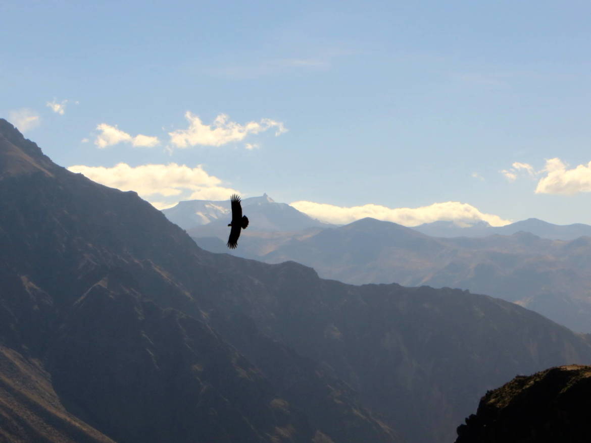 croix de condor_perou