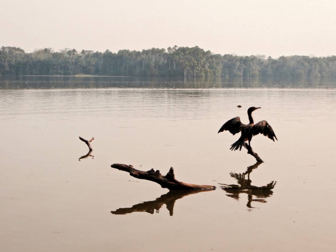 itineraire_voyage_perou_amazonie_madre_de_dios_7