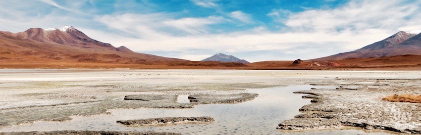 Sud Lipez Bolivie Blog voyage