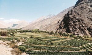 La Vallée d’Elqui, on dirait le Sud… – Chili