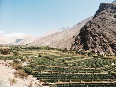 La Vallée d’Elqui, on dirait le Sud… – Chili