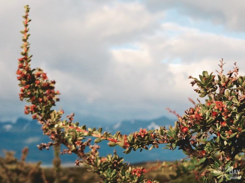 Torres del Paine Chili A day in the world