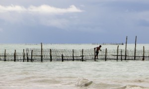 Les plages du Nordeste – Brésil