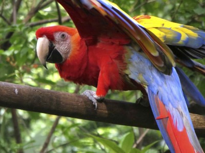 Vidéo du voyage au Costa Rica 2012