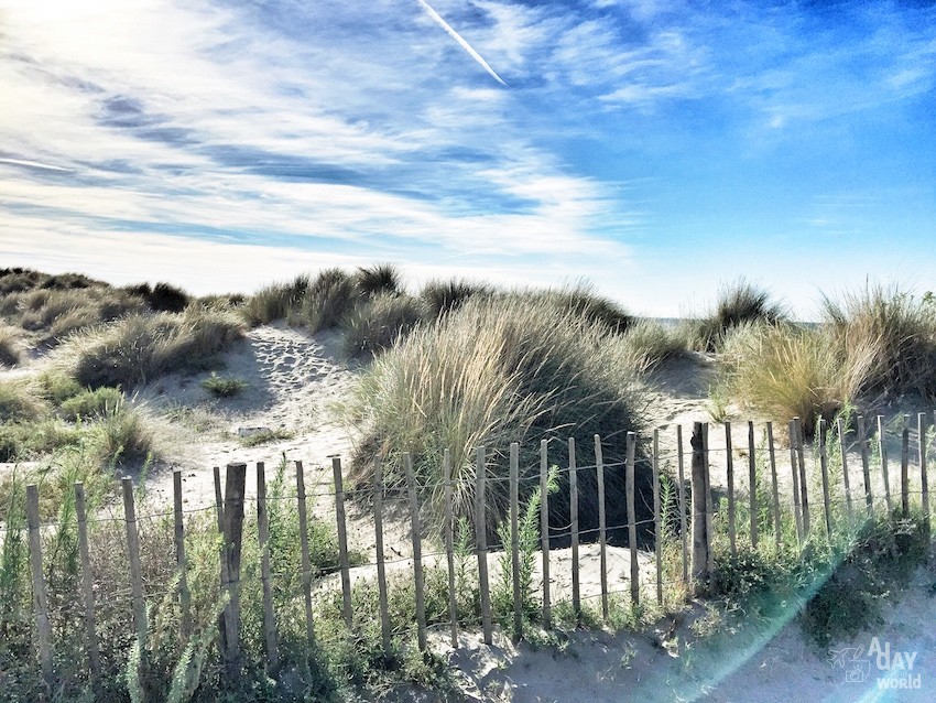 Plage de Carnon