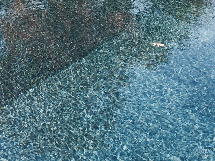 Domaine de Ribaute piscine