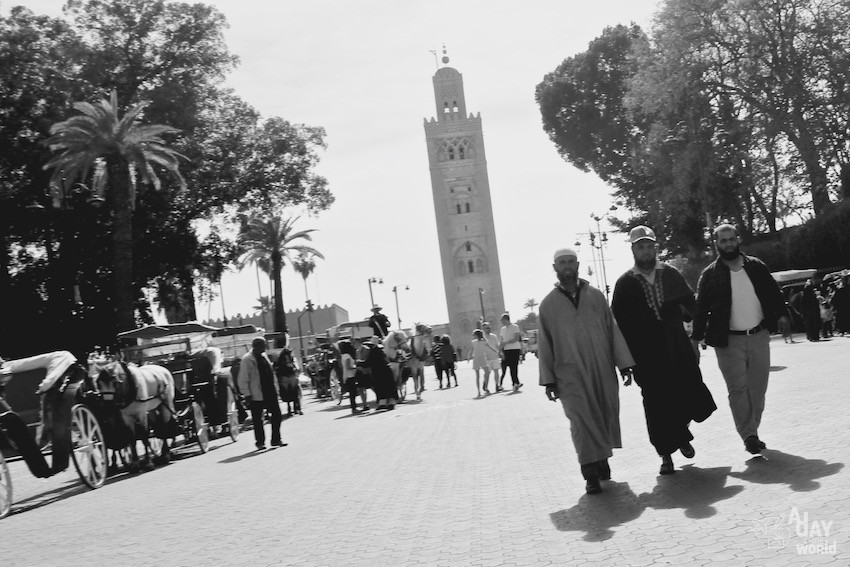barbu-marrakech