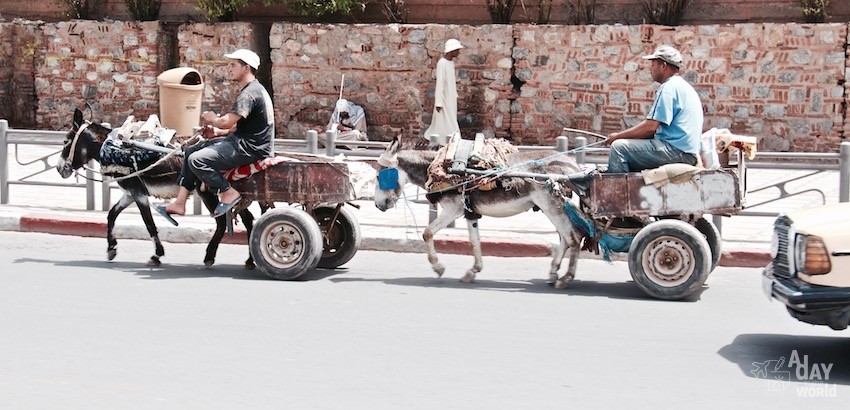 charette-dans-les-rues-de-marrakech