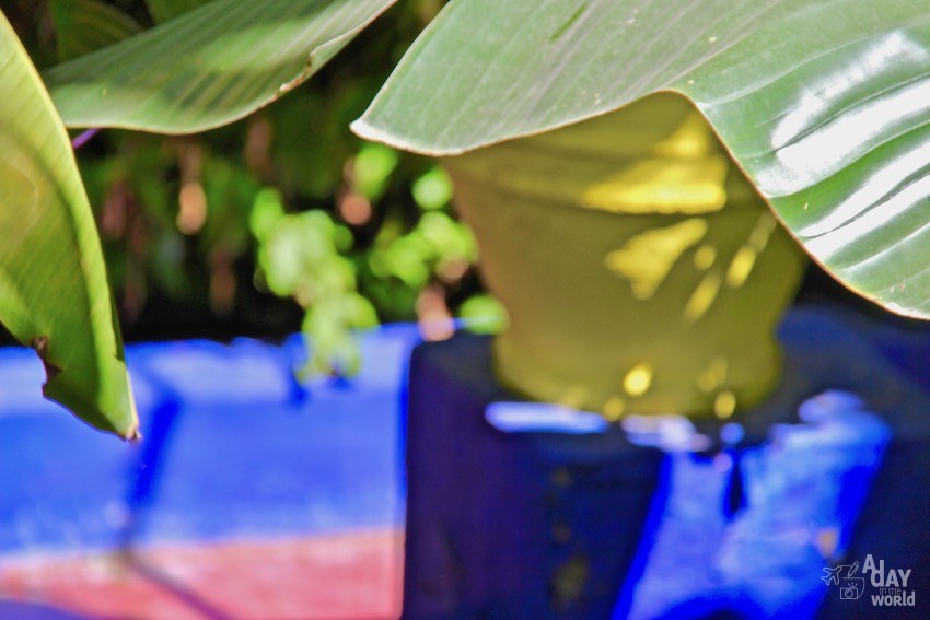 couleur-jardin-majorelle