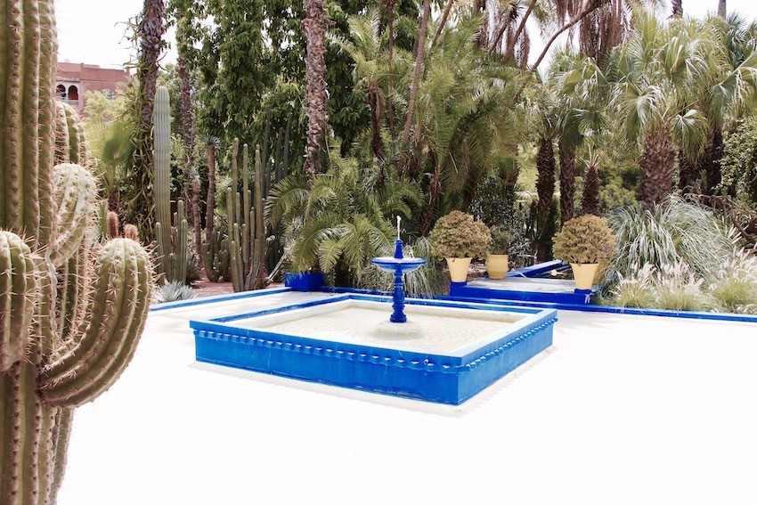 fontaine-jardin-majorelle-marrakech