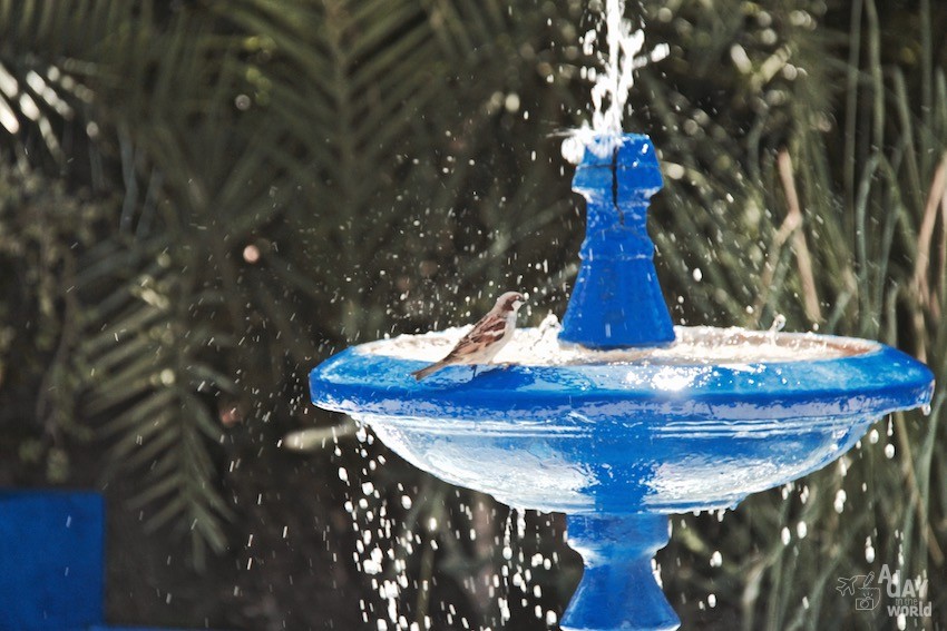 fontaine-majorelle-marrakech