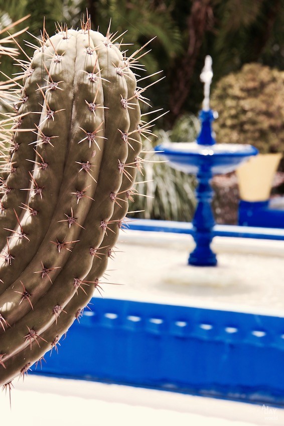 jardin-majorelle-marrakech