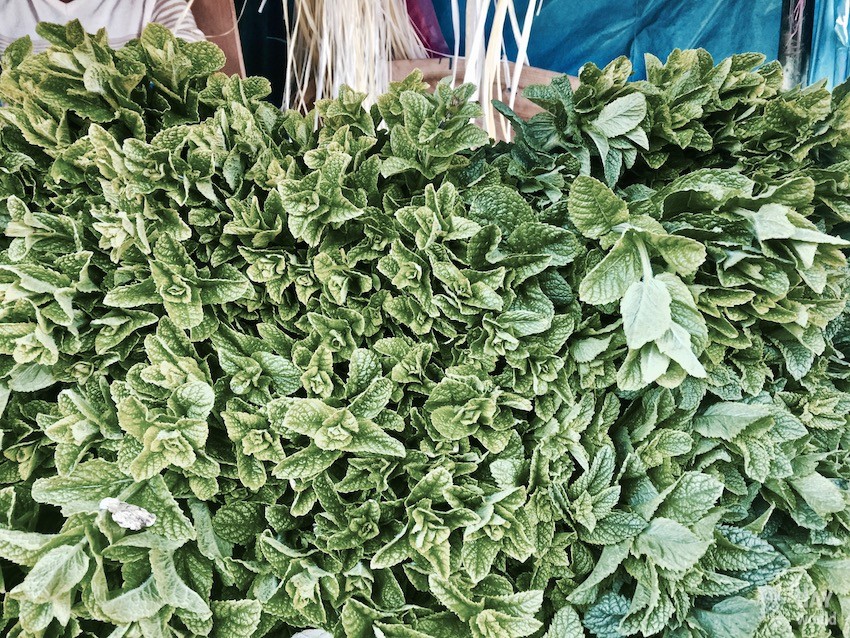 menthe-fraiche-marrakech