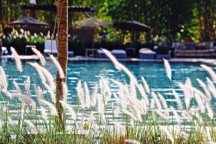 piscine-hotel-fellah-marrakech-2