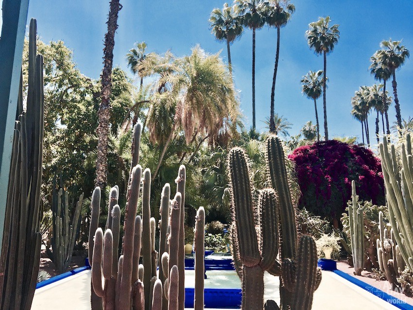 vue-jardin-majorelle-marrakech