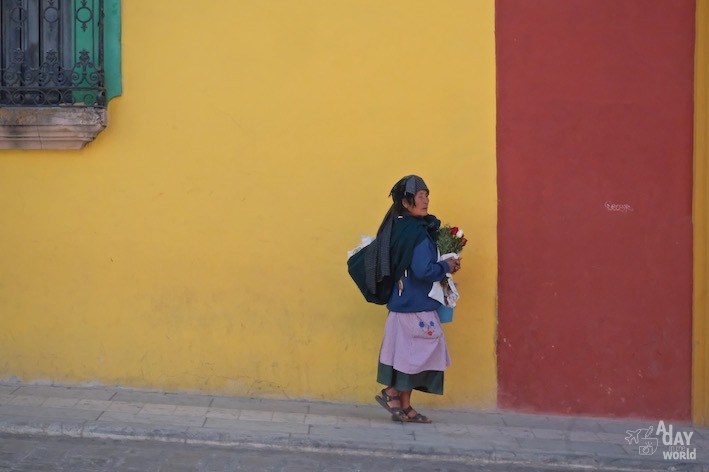 oaxaca mur de couleurs