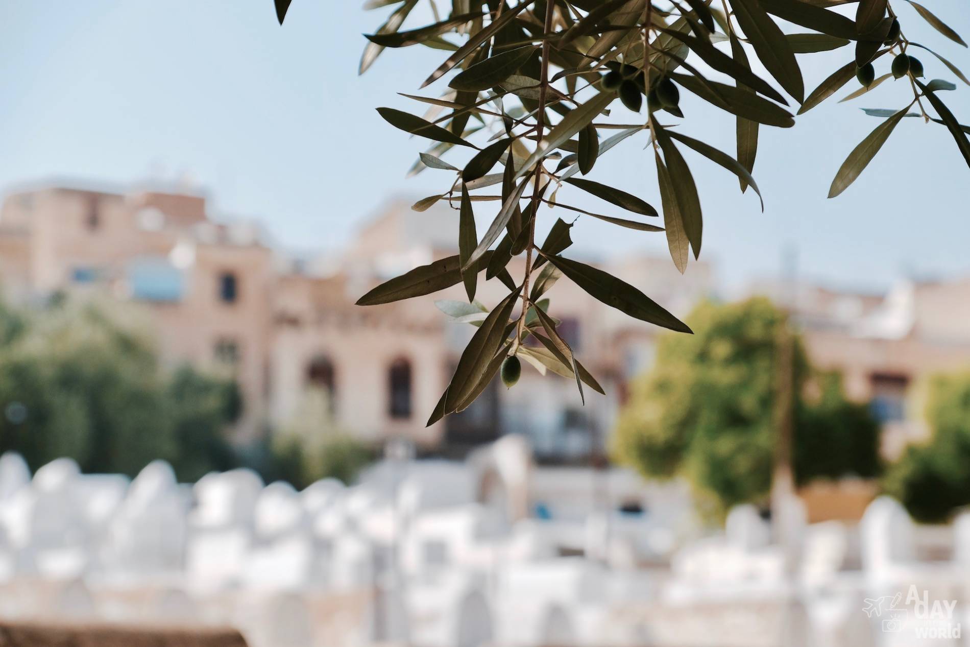 cimetière juif fes