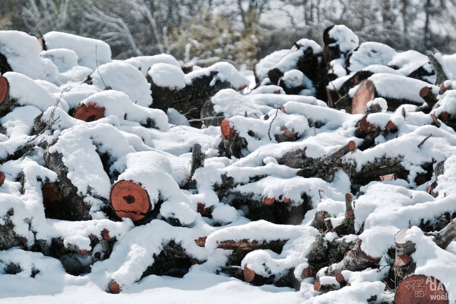 neige lozere 7