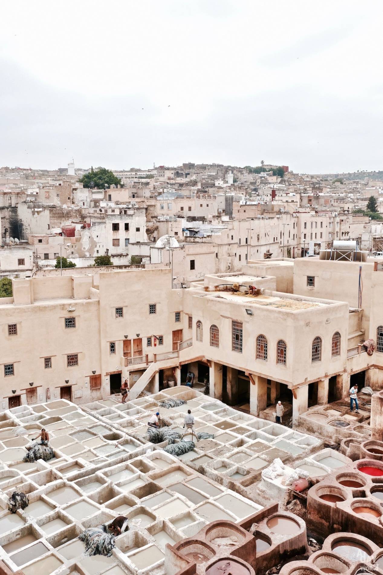 panorama tanneries fes