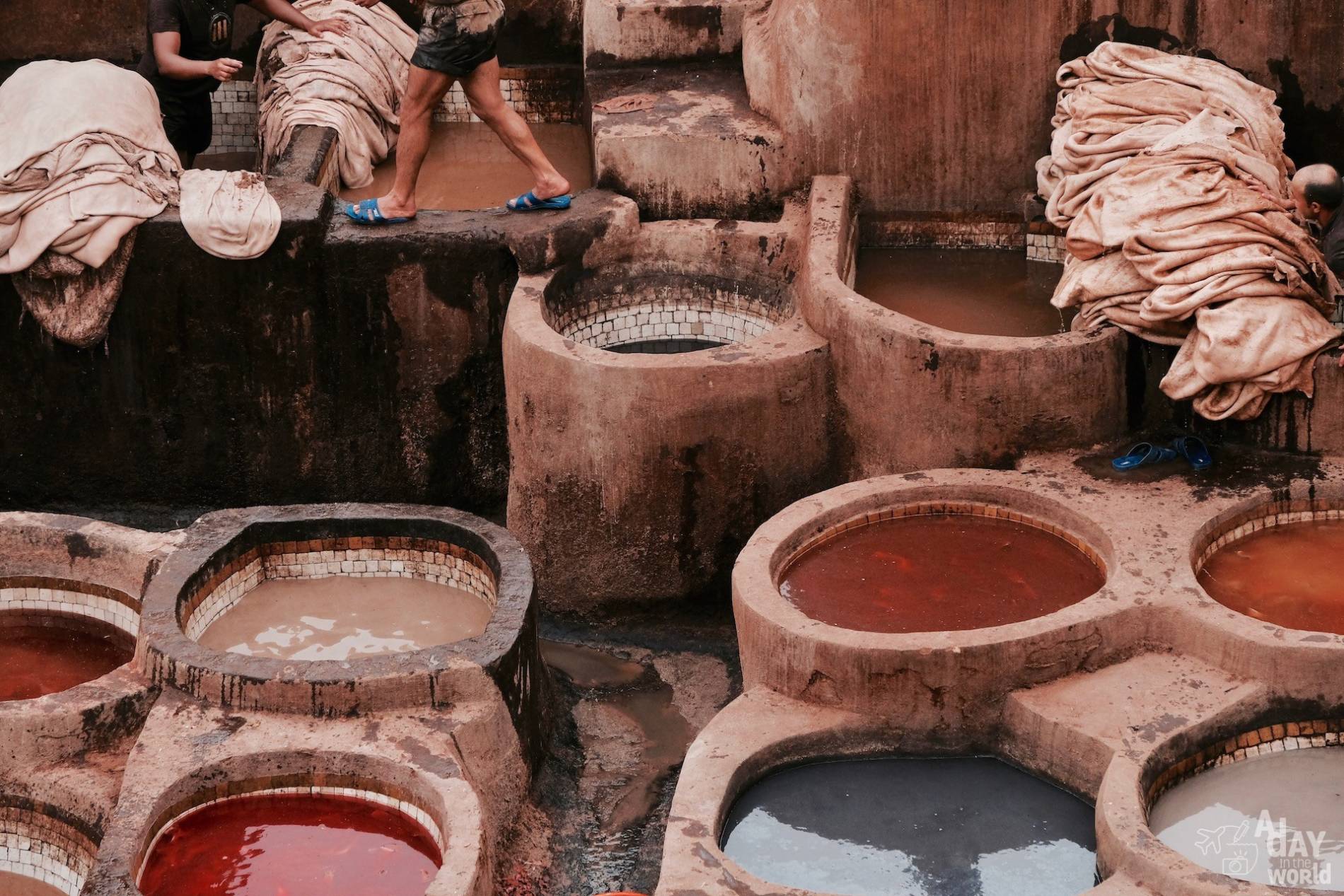 tannerie chouara fes 2