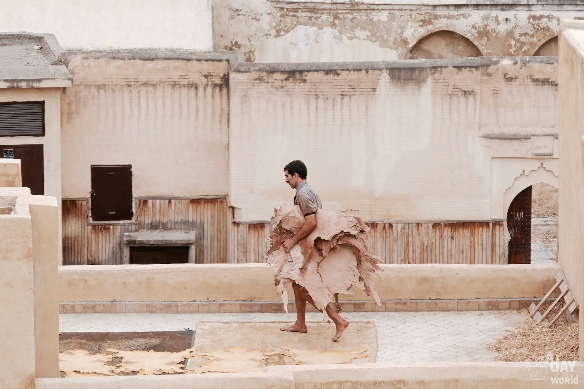 tanneries chouara fes peau