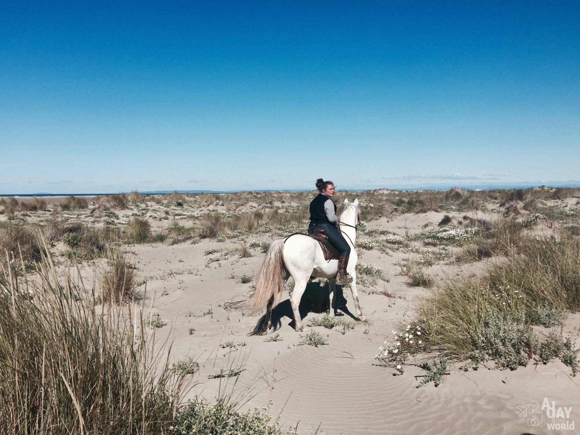 balade cheval camargue 3