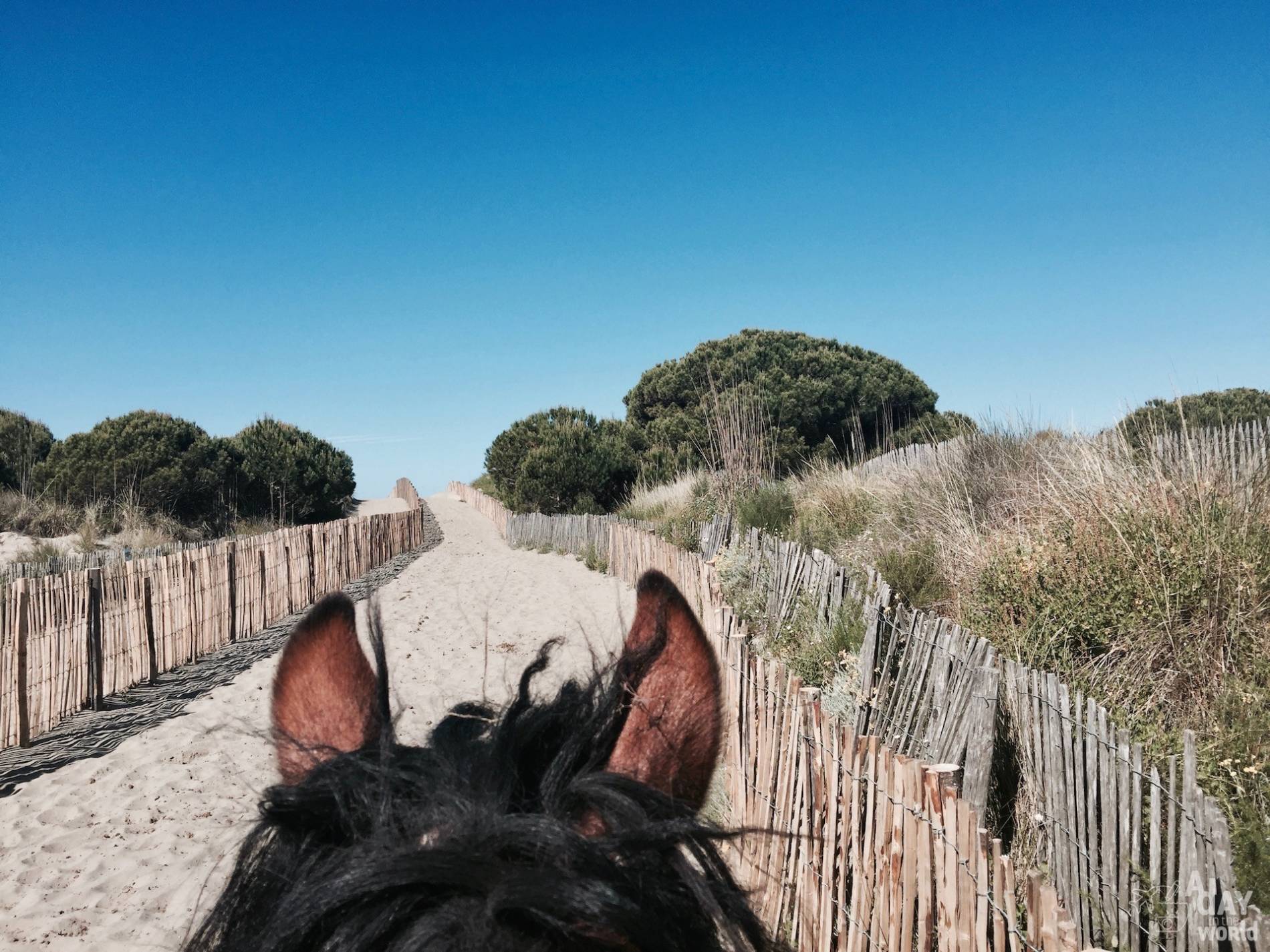 balade cheval camargue 6