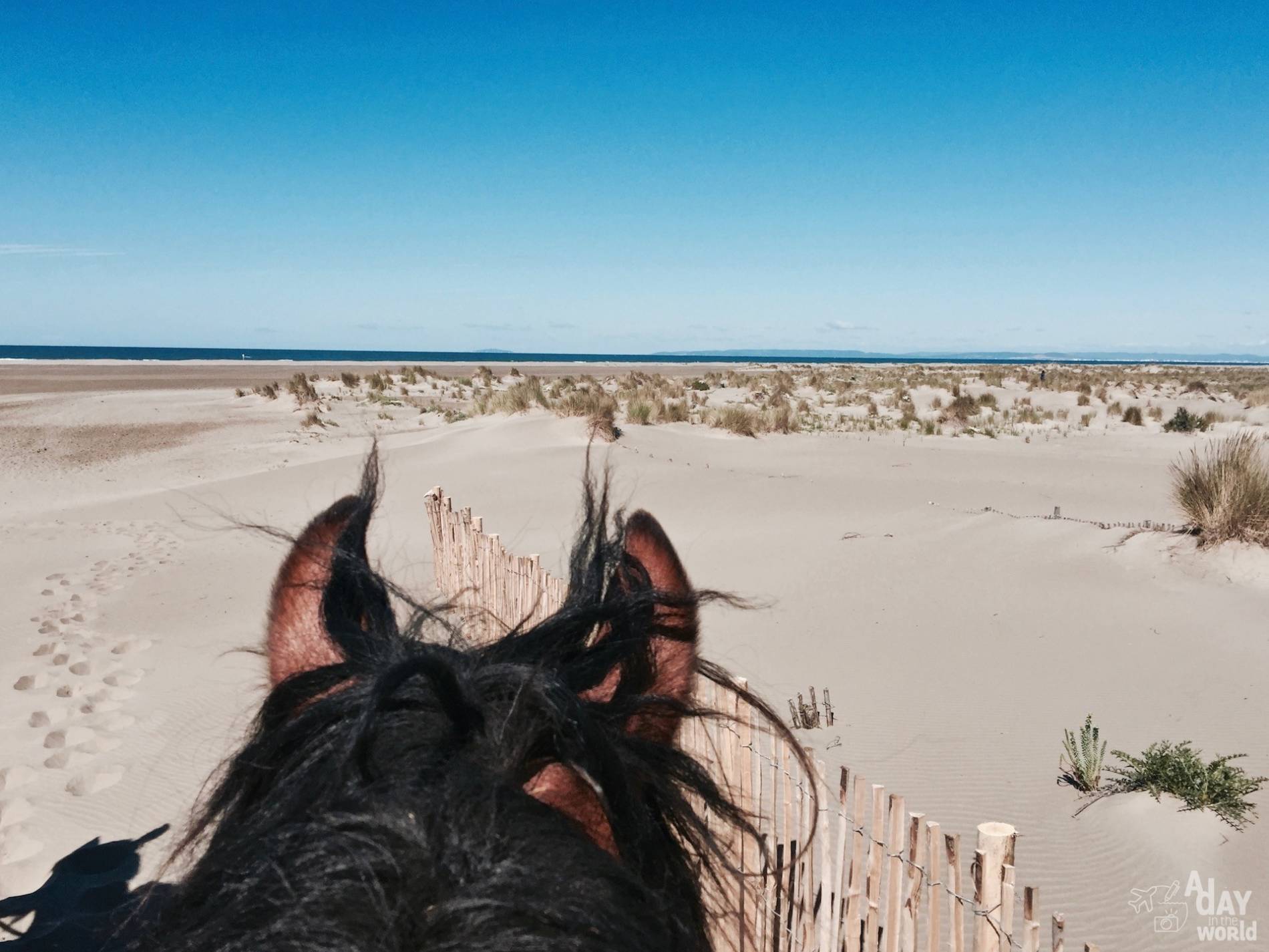 balade cheval camargue 7