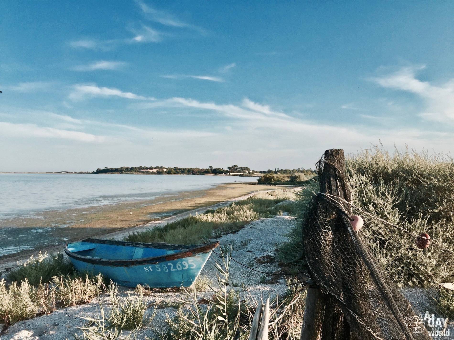 bassin de thau aresquiers