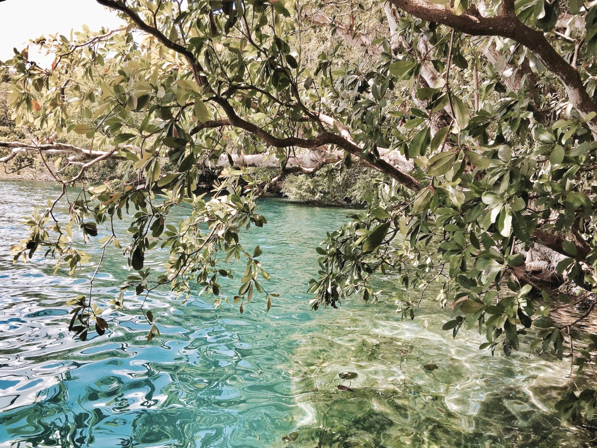 cenote negro bacalar