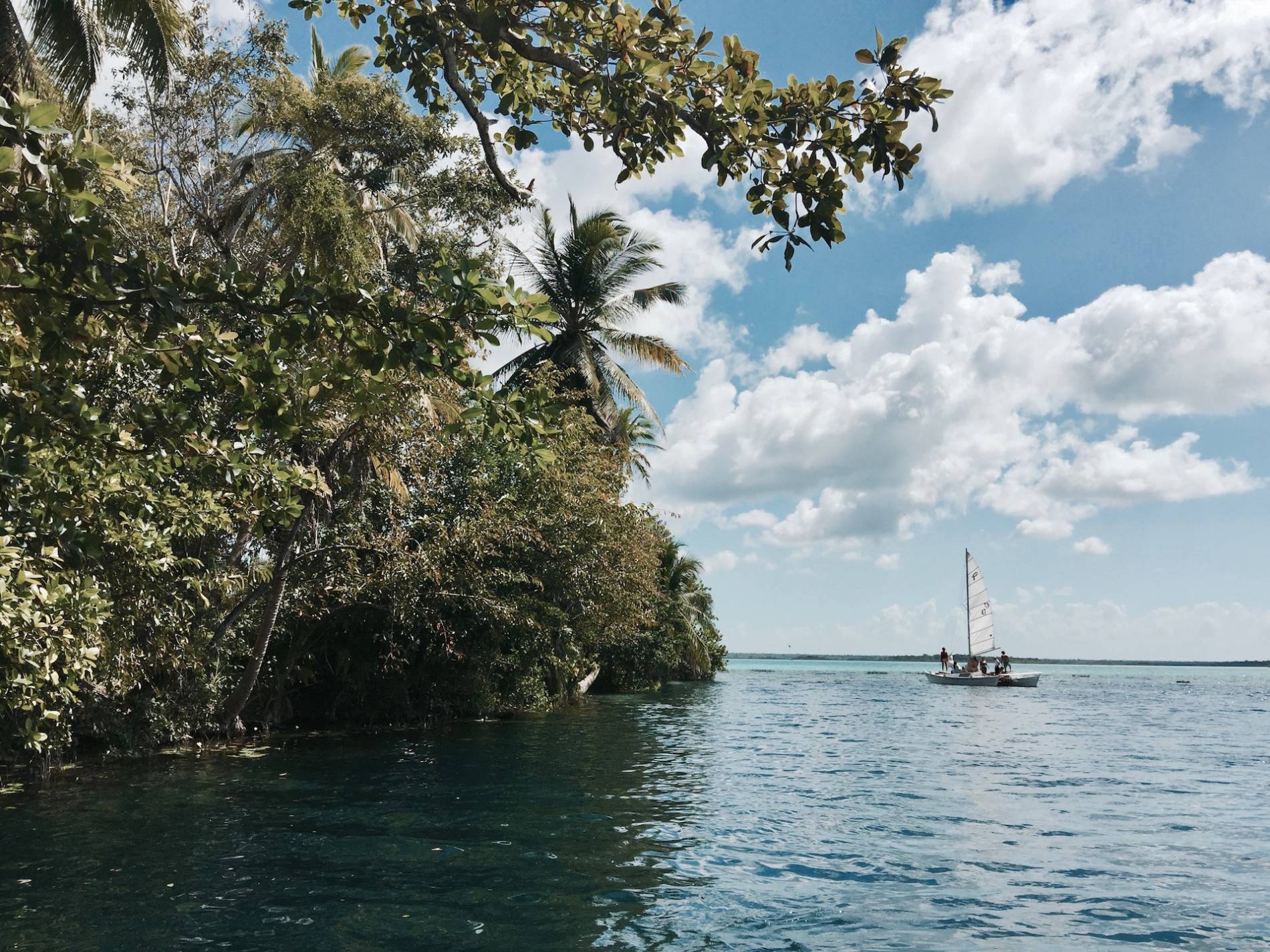 cenote negro