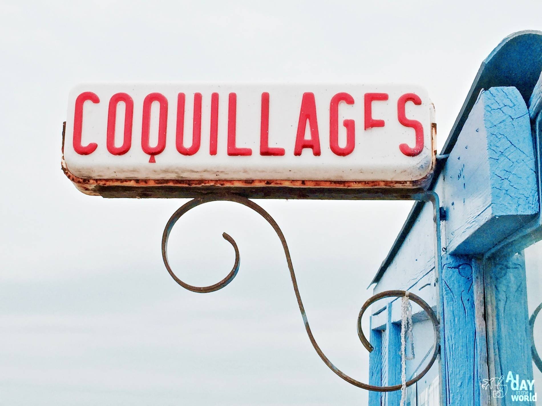 coquillages ferme marine des aresquiers