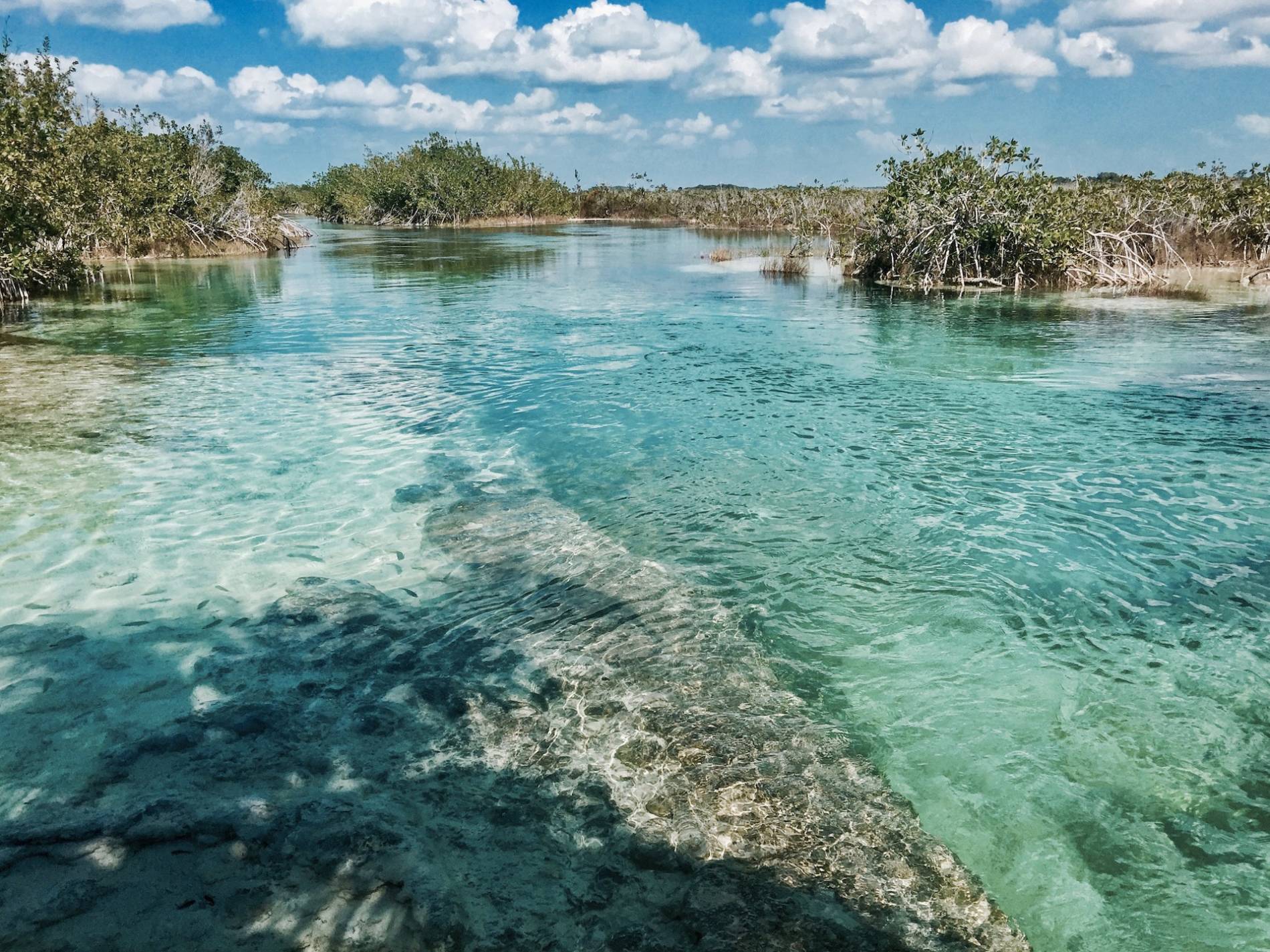 los rapidos agua bacalar