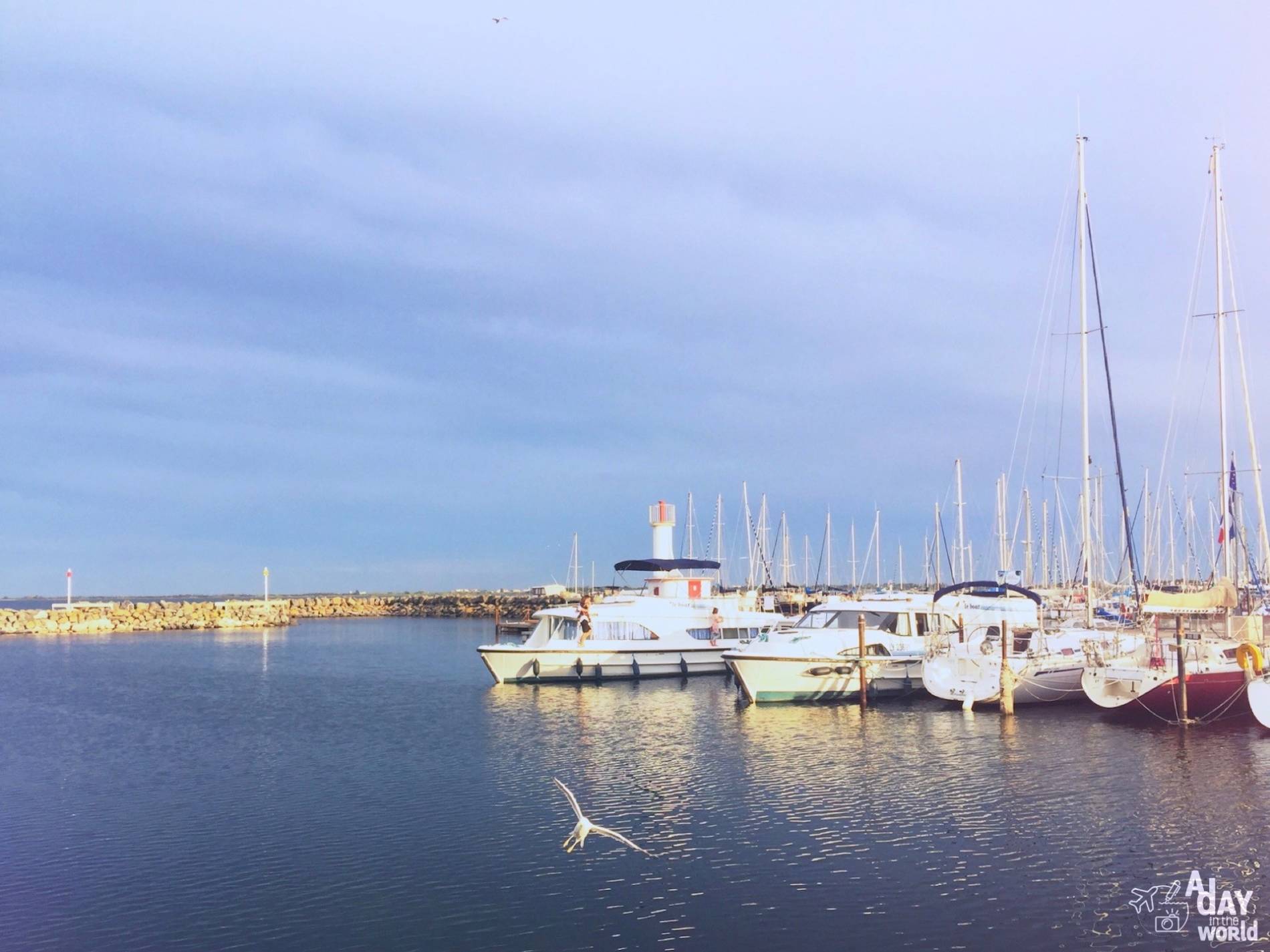 port de marseillan