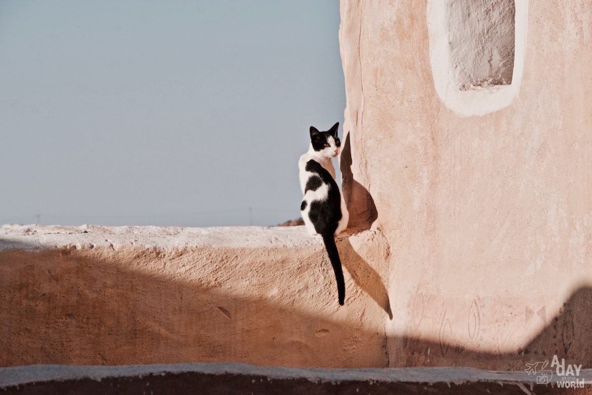 tunisie-maison-troglodyte