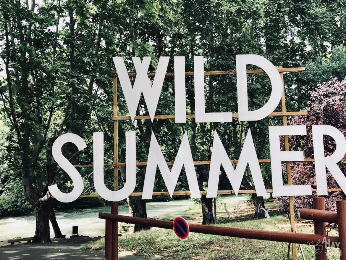 wild-summer-festival1