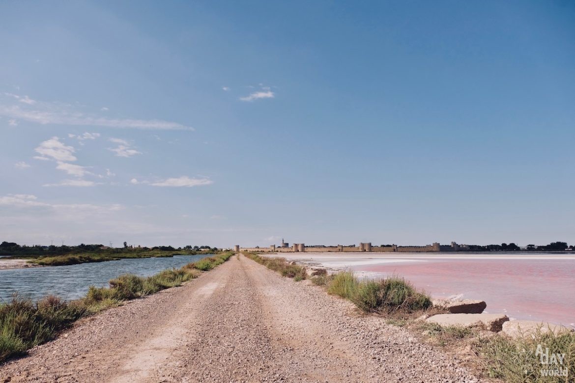 salins-de-camargue